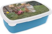 Broodtrommel Blauw - Lunchbox - Brooddoos - Hond - Kat - Tuin - 18x12x6 cm - Kinderen - Jongen