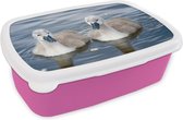 Broodtrommel Roze - Lunchbox - Brooddoos - Baby - Zwanen - Water - 18x12x6 cm - Kinderen - Meisje