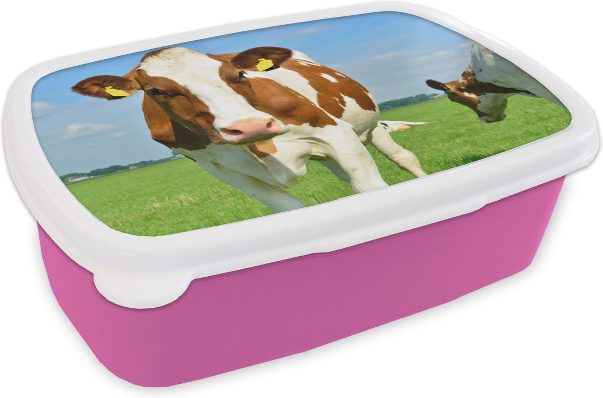 Broodtrommel Roze - Lunchbox - Brooddoos - Portret - Koe - Bruin - 18x12x6 cm - Kinderen - Meisje
