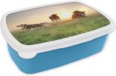 Broodtrommel Blauw - Lunchbox - Brooddoos - Koe - Zon - Gras - 18x12x6 cm - Kinderen - Jongen