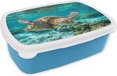 Broodtrommel Blauw - Lunchbox - Brooddoos - Een schildpad zwemt onder water vlakbij de bodem - 18x12x6 cm - Kinderen - Jongen