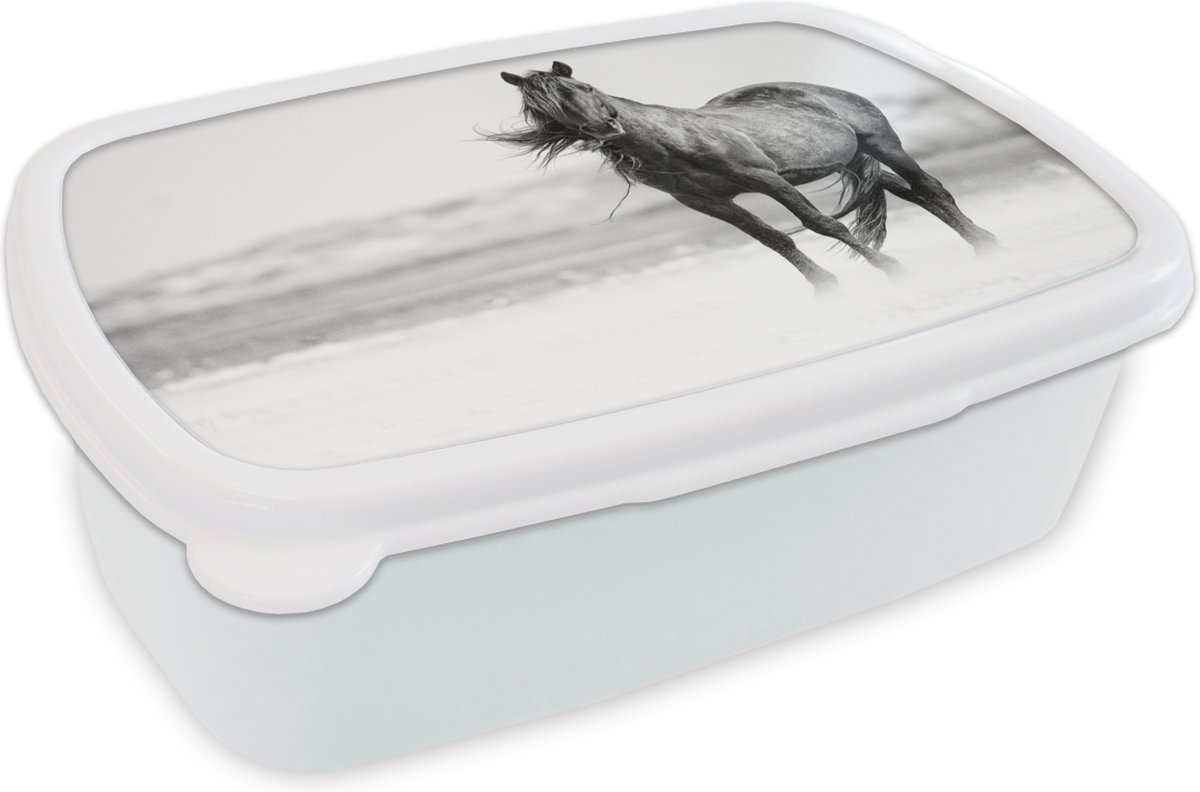 Broodtrommel Wit - Lunchbox - Brooddoos - Wild paard in de duinen - 18x12x6 cm - Volwassenen