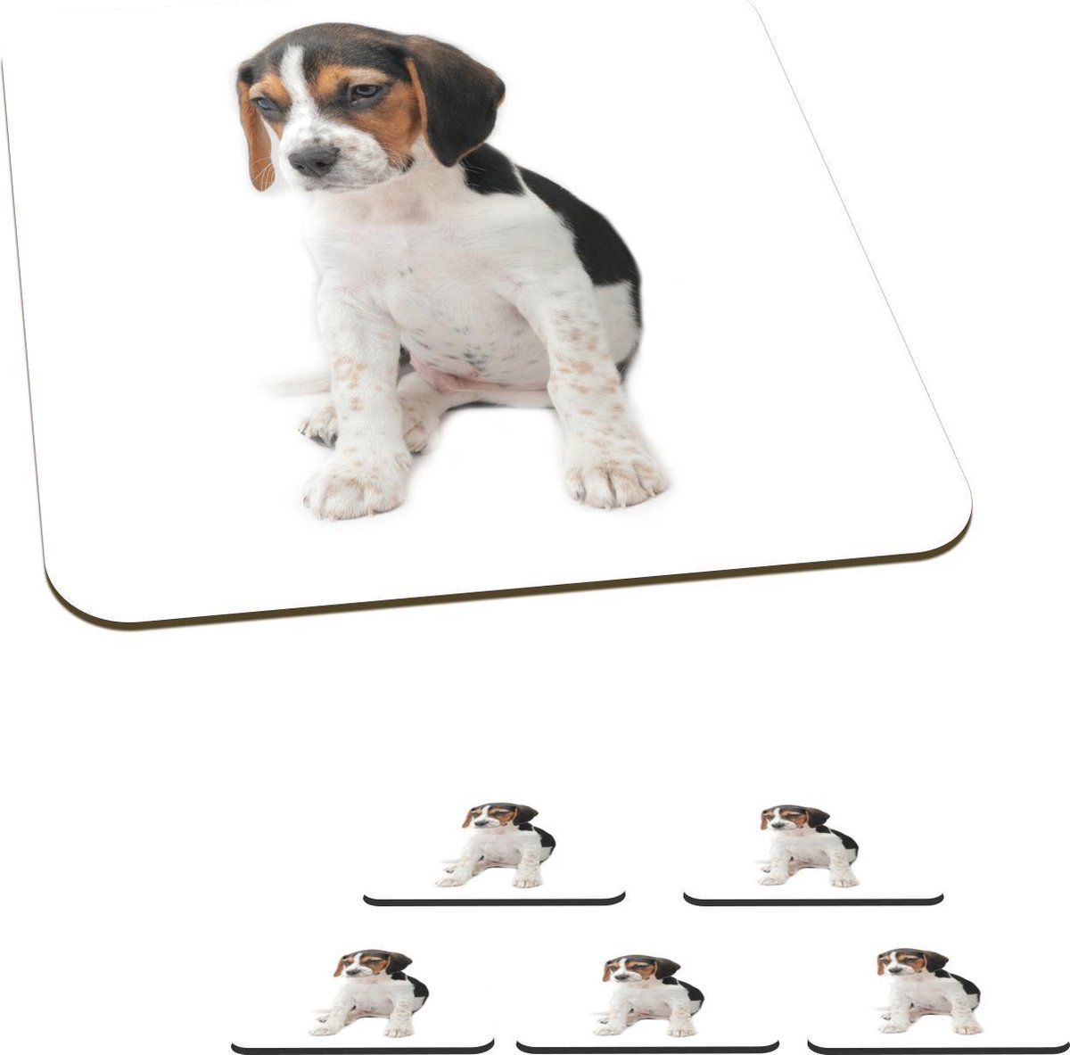 Onderzetters voor glazen - Puppy - Wit - Beagle - 10x10 cm - Glasonderzetters - 6 stuks