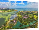 Luchtfoto van de Supertree Grove van Singapore - Foto op Canvas - 150 x 100 cm