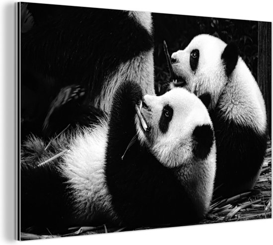 Wanddecoratie Metaal - Aluminium Schilderij - Panda's - Zwart - Wit