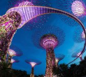 Neon verlichte tuinstad Gardens by the Bay in Singapore - Fotobehang (in banen) - 250 x 260 cm