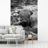 Behang - Fotobehang Rustende Schotse hooglander - zwart wit - Breedte 145 cm x hoogte 220 cm