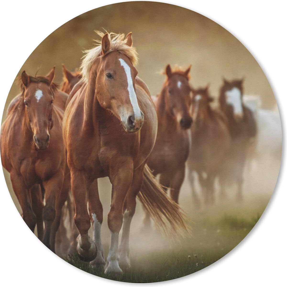 Muismat rond 50x50 cm - Mousepad Paarden - Licht - Natuur - Ronde muismatten