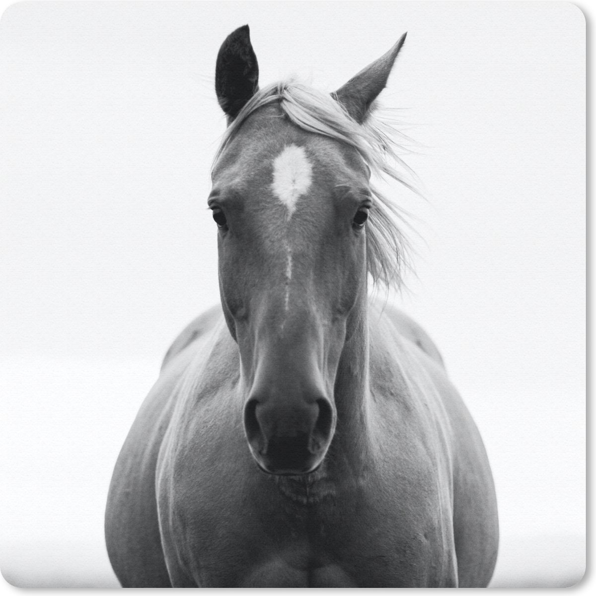 Muismat - Mousepad - Paard - Zwart - Wit - Portret - 30x30 cm - Muismatten