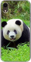 Geschikt voor iPhone XR hoesje - Panda - Gras - Dier - Siliconen Telefoonhoesje