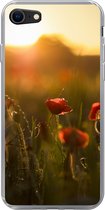 Geschikt voor iPhone SE 2020 hoesje - Klaproos - Zonsondergang - Goud - Siliconen Telefoonhoesje
