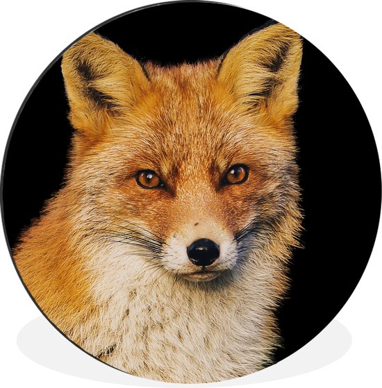 PIN S BROCHE insigne PLAISIR DE LA CHASSE chasseur +chien a la tombé de