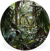 WallCircle - Wandcirkel ⌀ 150 - Planten in regenwoud - Ronde schilderijen woonkamer - Wandbord rond - Muurdecoratie cirkel - Kamer decoratie binnen - Wanddecoratie muurcirkel - Woonaccessoires
