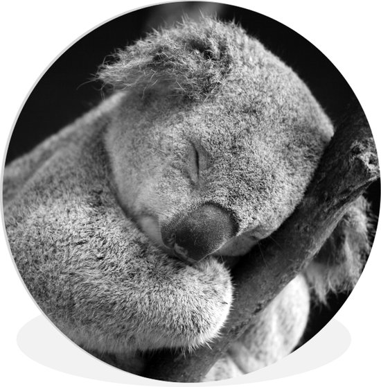 WallCircle - Wandcirkel ⌀ 30 - Slapende koala op zwarte achtergrond in zwart-wit - Ronde schilderijen woonkamer - Wandbord rond - Muurdecoratie cirkel - Kamer decoratie binnen - Wanddecoratie muurcirkel - Woonaccessoires