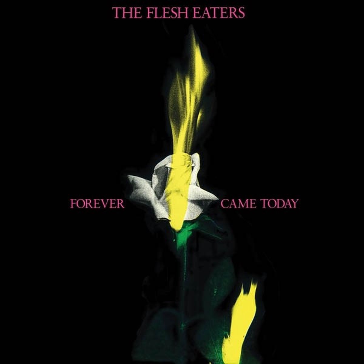 The Flesh Eaters - Forever Came Today (LP) (Reissue)
