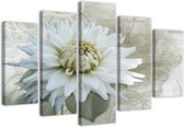 Trend24 - Canvas Schilderij - White Flower - Vijfluik - Bloemen - 100x70x2 cm - Beige