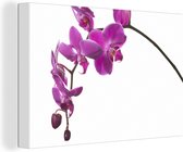 Canvas schilderij 180x120 cm - Wanddecoratie Orchidee tegen witte achtergrond - Muurdecoratie woonkamer - Slaapkamer decoratie - Kamer accessoires - Schilderijen