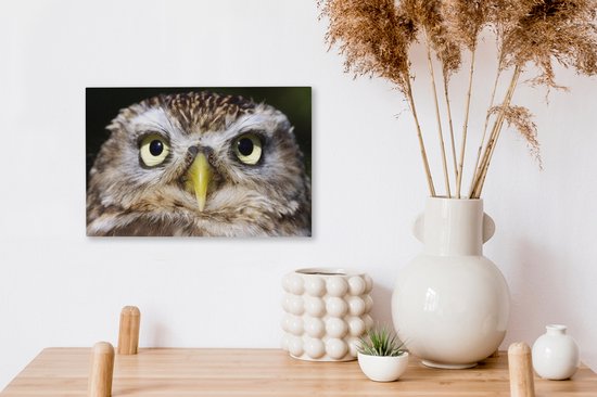 Tableau sur toile Gros plan d'un hibou marron - 30x20 cm - Décoration murale