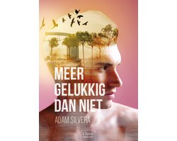 Omslag van Meer gelukkig dan niet