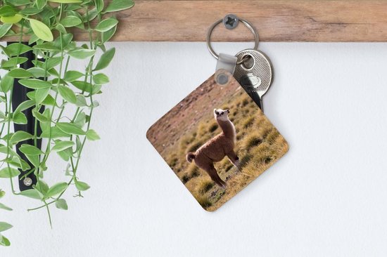 Porte-clés - Cadeaux - Alpaga - Herbe - Animal - Plastique