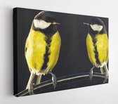 Canvas schilderij - Two great tit birds  -     767557429 - 115*75 Horizontal