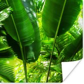 Poster Tropische bladeren in jungle fotoprint - 50x50 cm