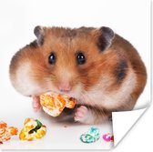Poster Hamster eet kleurrijk voedsel - 50x50 cm