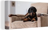 Canvas Schilderij Schattige Rottweiler puppy zit op een stoel - 40x20 cm - Wanddecoratie