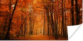 Poster Een bos met herfstachtige kleuren - 80x40 cm