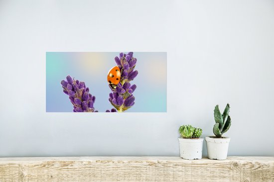 Affiche Coccinelle sur fleur de lavande - 40x20 cm
