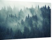 Bomen met mist - Foto op Dibond - 60 x 40 cm