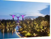Supertree Grove in Gardens by the Bay in Singapore - Foto op Dibond - 60 x 40 cm
