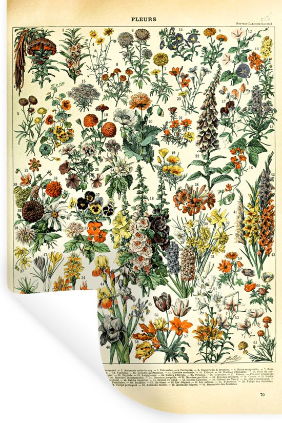 Stickers Stickers muraux - Fleurs - Rouge - Jaune - 80x120 cm - Feuille adhésive