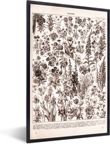 Fotolijst incl. Poster - Bloemen - Planten - Zwart - Wit - 40x60 cm - Posterlijst