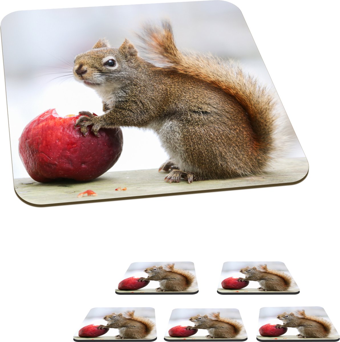 Onderzetters voor glazen - Eekhoorn eet een appel - 10x10 cm - Glasonderzetters - 6 stuks