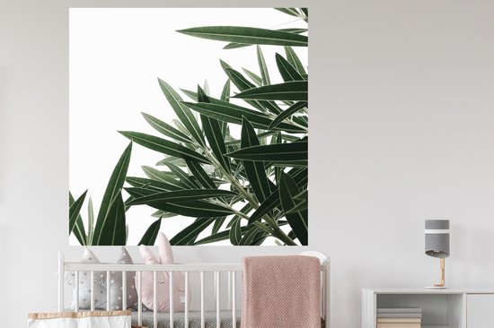 Stickers muraux - Nature - Plantes - Feuilles - 120x120 cm - Film Adhésif XXL