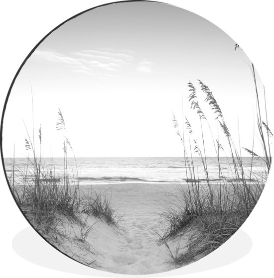 Foto: Wallcircle wandcirkel muurcirkel helmgras groeit in het zand op de duinen zwart wit aluminium dibond 60 cm binnen en buiten