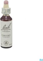 Chicory/Cichorei Bach