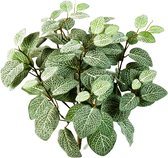 Fittonia bush - kunstplant