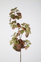 Kunstblad Cotinus - topkwaliteit decoratie - Groen - zijden tak - 120 cm hoog