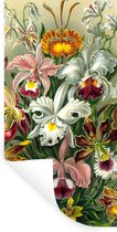 Muurstickers - Sticker Folie - Design - Bloemen - Planten - Ernst Haeckel - 40x80 cm - Plakfolie - Muurstickers Kinderkamer - Zelfklevend Behang - Zelfklevend behangpapier - Stickerfolie