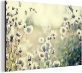 Fleurs Witte en champ Aluminium 120x80 cm - Tirage photo sur aluminium (décoration murale métal)