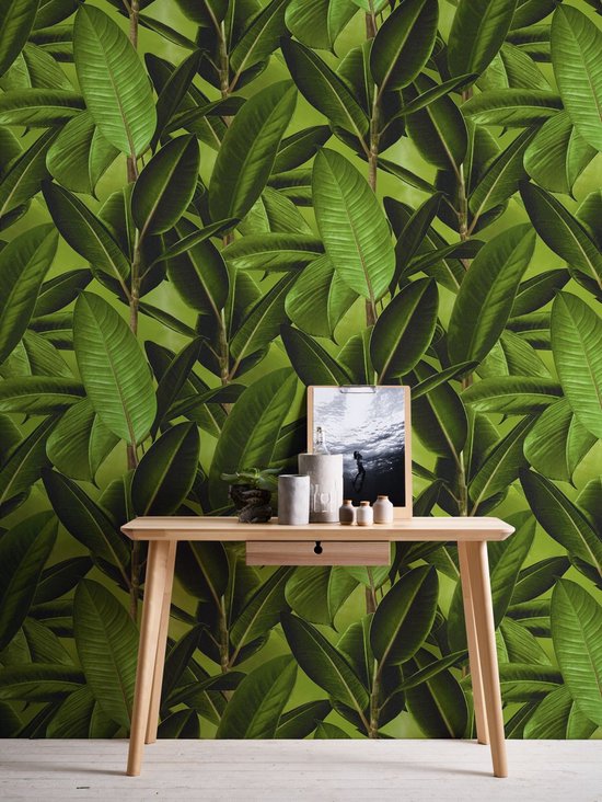 PAPIER PEINT DE FEUILLE DE PLANTES CAOUTCHOUC - Marron Vert - AS Creation Neue Bude 2.0