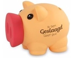 Spaarvarken Diploma geslaagd thema - 10 x 9 cm - kunststof - cadeau - afgestudeerd - school - rijbewijs