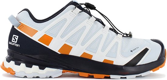Salomon XA PRO 3D V8 GTX W - GORE-TEX - Chaussures de randonnée de  randonnée pour... | bol.com