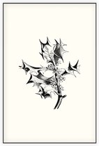Hulst zwart-wit (Holly) - Foto op Akoestisch paneel - 60 x 90 cm