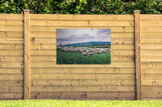 Tuinposter 120x80 cm - Tuindecoratie Schapen - Natuur - Gras - Poster voor in de tuin - Buiten decoratie - Schutting tuinschilderij - Tuindoek muurdecoratie - Wanddecoratie balkondoek