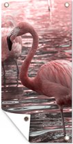 Wanddecoratie buiten Een groep flamingo's staat in het water - 80x160 cm - Tuindoek - Buitenposter
