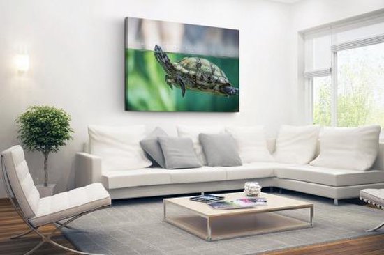 Photo en gros plan de toile de tortue 60x40 cm - Tirage photo sur toile peinture (Décoration murale salon / chambre) / Peintures sur toile Animaux