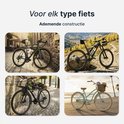 Vier fietsen in verschillende omgevingen: racefiets op steeg, mountainbike op rots, stadsfiets met mand, strandfiets.